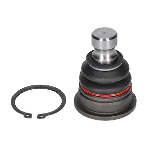 CX9241 BIRTH