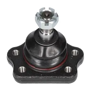 CX9276 BIRTH