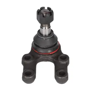 CX3548 BIRTH