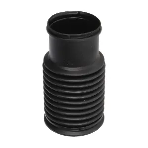 52995 BIRTH