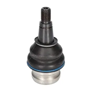 CX9257 BIRTH