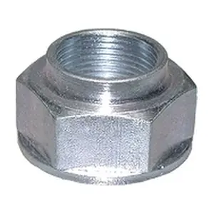 BIRTH 4501