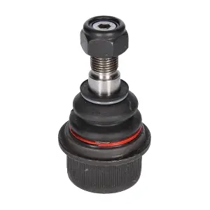 CX9235 BIRTH