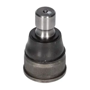 BIRTH CX3904