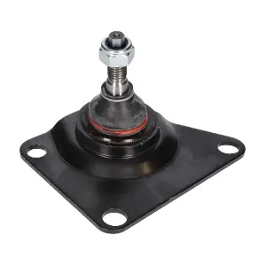 CX9254 BIRTH