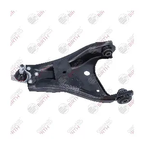 BR1251 BIRTH