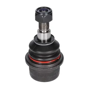 CX9229 BIRTH