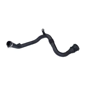 55996 BIRTH