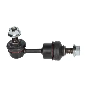 BX5203 BIRTH