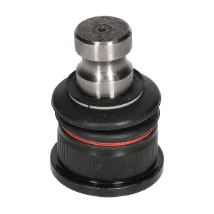 CX9299 BIRTH