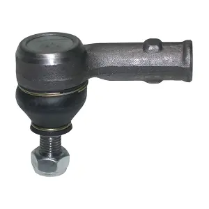 RS3036 BIRTH