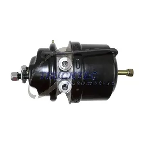 1519198 DAF
