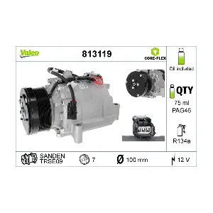 VALEO 813119