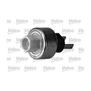 509673 VALEO