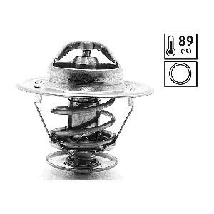 VALEO 819889