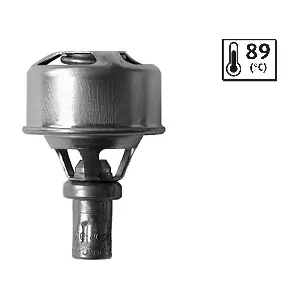 VALEO 819924