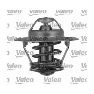 VALEO 820024