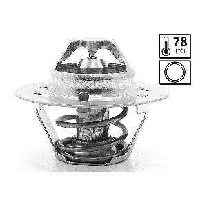 VALEO 819916