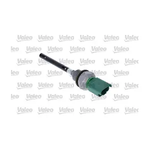 366209 VALEO