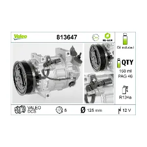 813647 VALEO