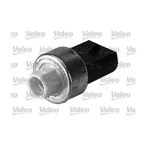 509666 VALEO