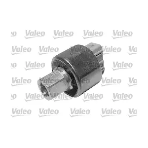 509865 VALEO
