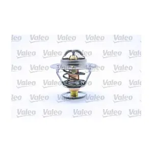 819908 VALEO