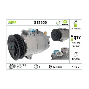 813909 VALEO
