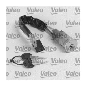 252454 VALEO