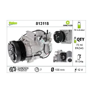 VALEO 813118