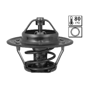 VALEO 819849