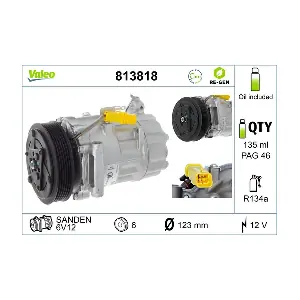 VALEO 813818