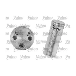 509569 VALEO