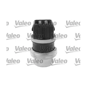 VALEO 700013