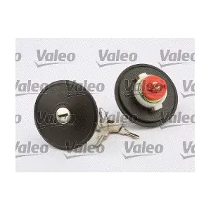 247502 VALEO