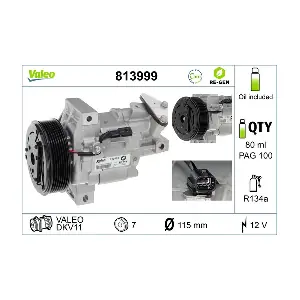 813999 VALEO