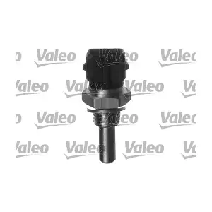 700023 VALEO