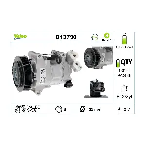 813790 VALEO