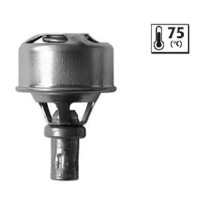 819921 VALEO