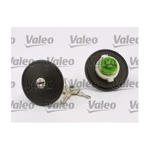 247506 VALEO