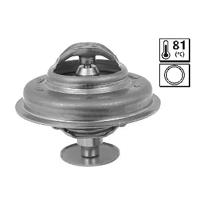 VALEO 819905
