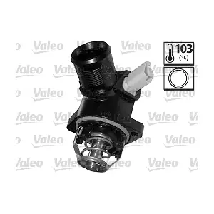 820977 VALEO
