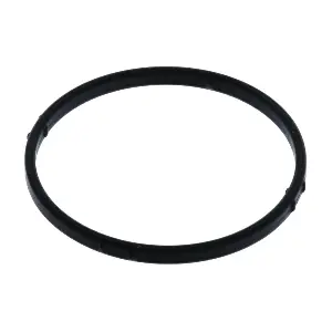 VALEO 529213