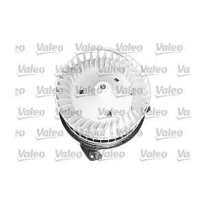 698244 VALEO