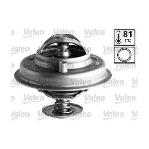 VALEO 820548