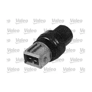 509481 VALEO