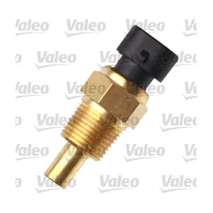 VALEO 700079