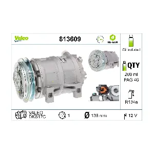 813609 VALEO