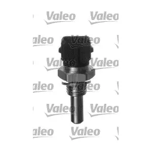 VALEO 700029