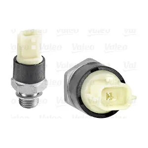 255103 VALEO